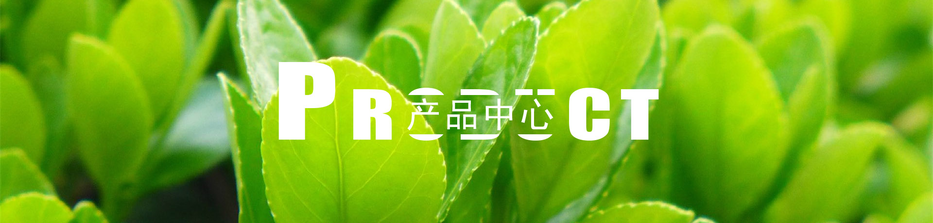 產(chǎn)品展示