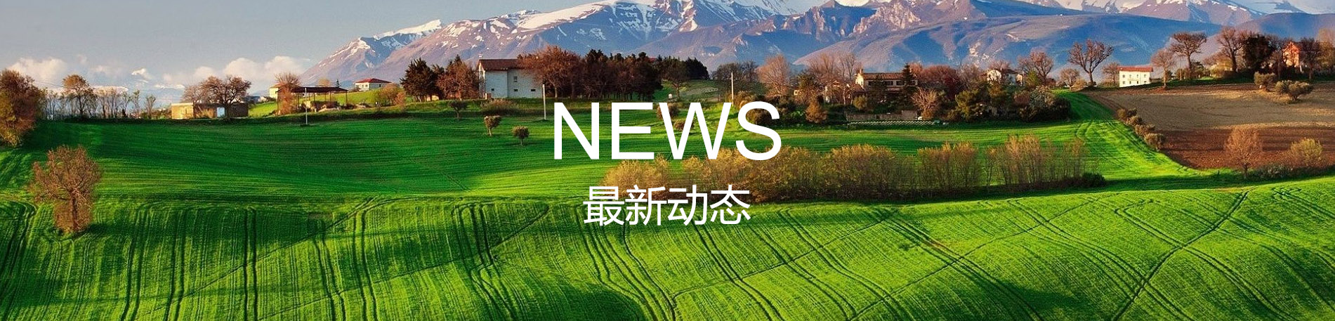 新聞動態(tài)